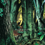SYLVIAN,DAVID - MANAFON (2LP) (Vinyl LP)