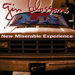 GIN BLOSSOMS - NEW MISERABLE EXPERIENCE (Vinyl LP)