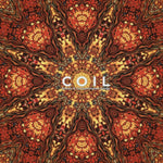 COIL - STOLEN & CONTAMINATED SONGS (Vinyl LP)