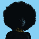 SUDAN ARCHIVES - SINK (DL CODE) (Vinyl LP)