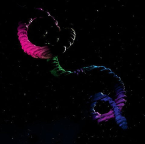 BROGAN BENTLEY - SNAKE (LP/DL CARD) (Vinyl)