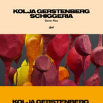 GERSTENBERG,KOLJA X SCHIGGERIA - SAVER FLEX (Vinyl LP)