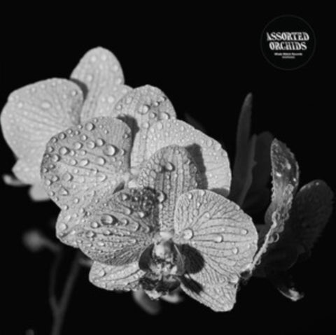 ASSORTED ORCHIDS - ASSORTED ORCHIDS (GATEFOLD/WHITE VINYL) (Vinyl LP)