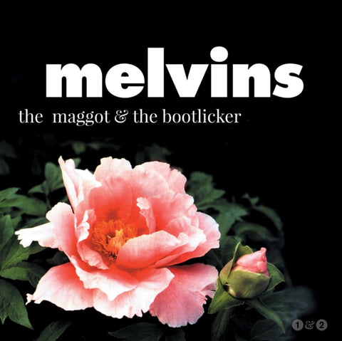MELVINS - MAGGOT & THE BOOTLICKER (LP/DL CARD) (Vinyl LP)