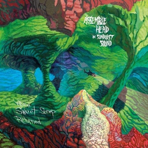 ASSEMBLE HEAD IN SUNBURST SOUND - WHEN SWEET SLEEP RETURNED (Vinyl LP)