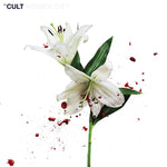 CULT - HIDDEN CITY (Vinyl LP)