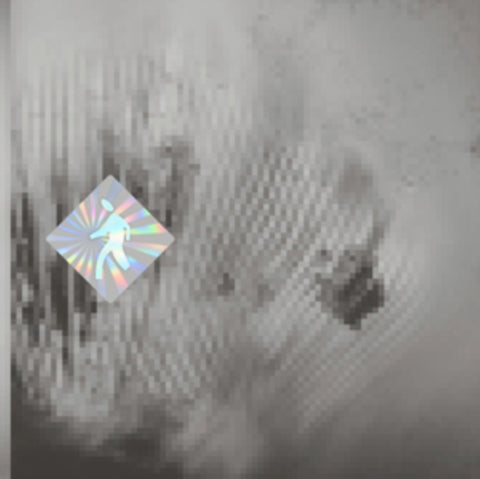 DISCOVERY ZONE - QUANTUM WEB (Vinyl LP)