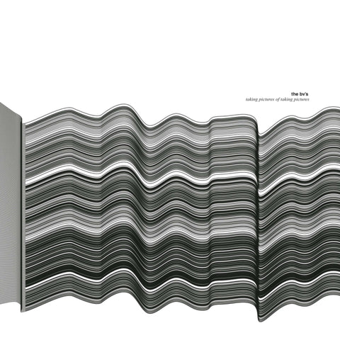 BV'S - TAKING PICTURES OF TAKING PICTURES (Vinyl LP)