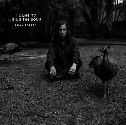 TORRES,ADAM - I CAME TO SING THE SONG (Vinyl LP)