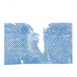 CONTAINER - SCRAMBLERS (Vinyl LP)