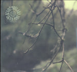 PIOULARD,BENOIT - LIGNIN POISE (Vinyl LP)