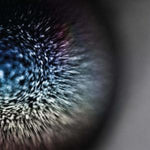 EMPTYSET - BLOSSOMS (VIRGIN VINYL/DL CARD) (Vinyl LP)