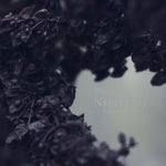 NEBELUNG - PALINGENESIS (Vinyl LP)