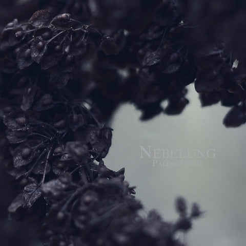 NEBELUNG - PALINGENESIS (Vinyl LP)