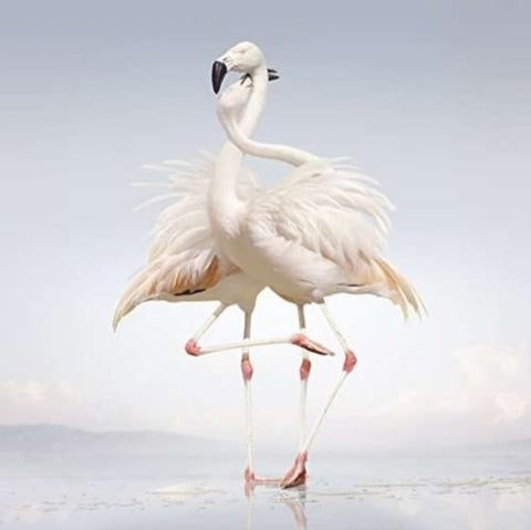 RUSTIE - GREEN LANGUAGE (Vinyl)