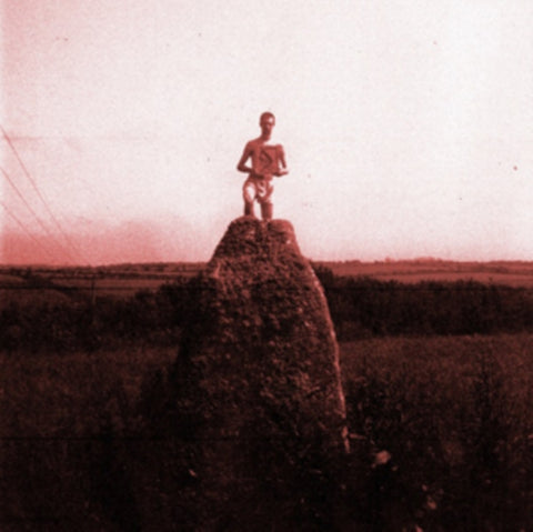 MOUNT KIMBIE - LOVE WHAT SURVIVES REMIXES PART 1 (DL CODE) (Vinyl LP)