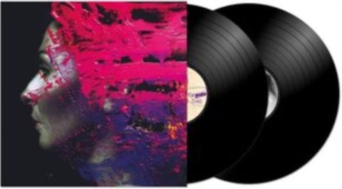 WILSON,STEVEN - HAND.CANNOT.ERASE (2LP) (Vinyl LP)