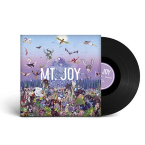MT. JOY - REARRANGE US (Vinyl LP)