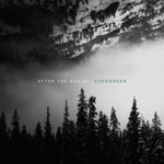 AFTER THE BURIAL - EVERGREEN (Vinyl LP)