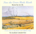 VARIOUS ARTISTS - NOW THE GREEN BLADE RISETH (VI (Vinyl LP)