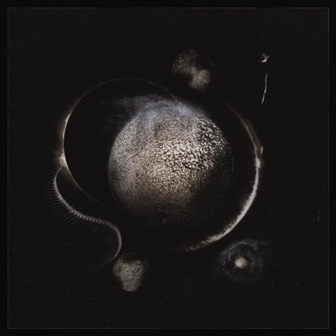ENTHRONED - COLD BLACK SUNS (Vinyl LP)