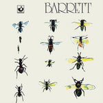 BARRETT,SYD - BARRETT (Vinyl LP)