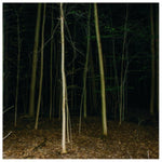 EXPRESS RISING - FIXED ROPE II (Vinyl LP)