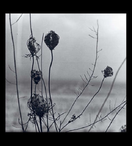 RECONDITE - PLACID (2CD) (CD)