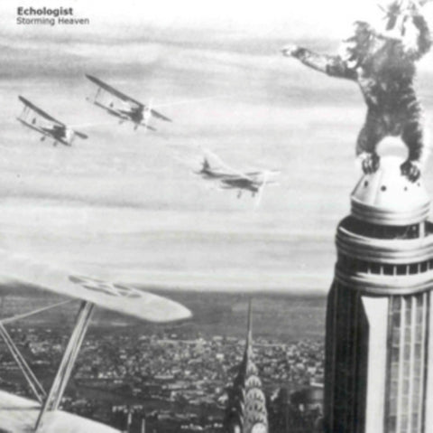 ECHOLOGIST - STORMING HEAVEN (3 X 12IN) (Vinyl)