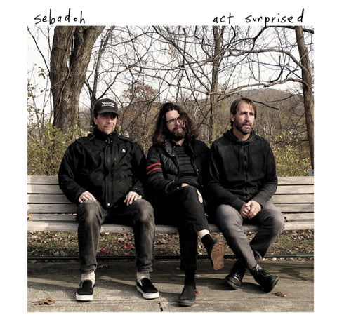 SEBADOH - ACT SURPRISED (Vinyl LP)