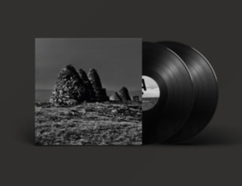 CRAVEN FAULTS - STANDERS (2LP) (Vinyl LP)