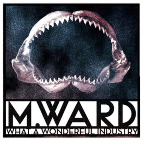 M. WARD - WHAT A WONDERFUL INDUSTRY (CLOUDY CLEAR VINYL) (Vinyl LP)