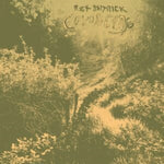 DEITRICK,RICK - COYOTE CANYON (Vinyl LP)