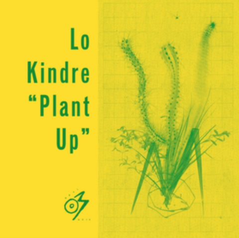 LO KINDRE - PLANT UP (Vinyl LP)