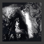 PISETZKY - TEARS OF A ROUGH MACHINE (Vinyl LP)