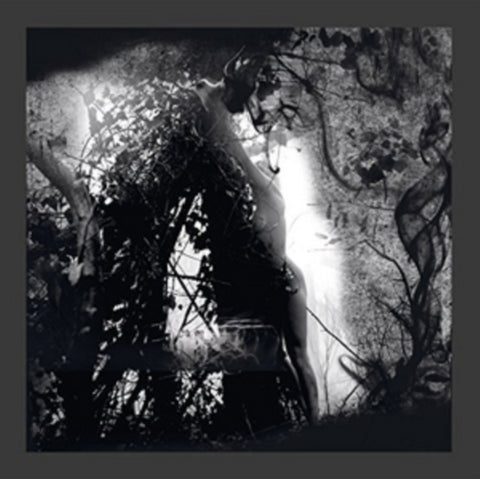 PISETZKY - TEARS OF A ROUGH MACHINE (Vinyl LP)