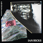HICKS,IAN - CHARACTER COLLAPSE (Vinyl LP)