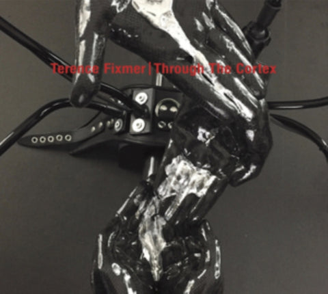 FIXMER,TERENCE - THROUGH THE CORTEX (Vinyl LP)