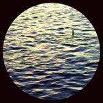 ANT ORANGE - RIGHT THERE (Vinyl LP)