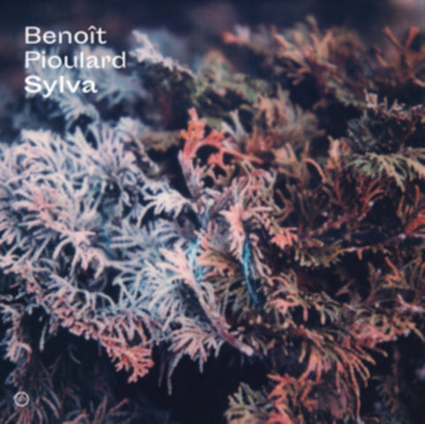 PIOULARD,BENOIT - SYLVA (Vinyl LP)