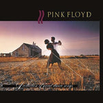 PINK FLOYD - COLLECTION OF GREAT DANCE SONGS (180G) (Vinyl LP)