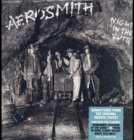 AEROSMITH - NIGHT IN THE RUTS (180G) (Vinyl LP)