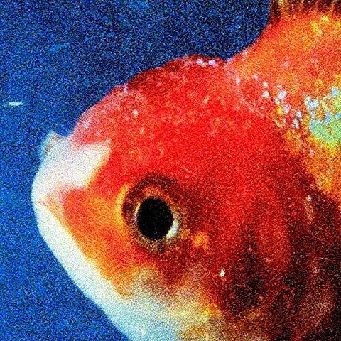 Vince Staples - Big Fish Theory (Picture Disc Vinyl LP) [Import]