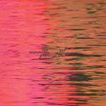 Silverstein - Dead Reflection [Import] (Vinyl LP)