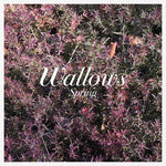 Wallows - Spring (Explicit, Colored Vinyl LP)