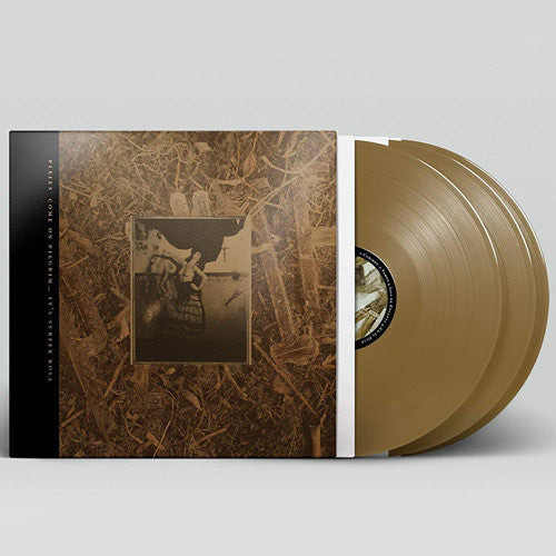 Afvise Gym højde Pixies - Come On Pilgrim It's Surfer Rosa (Vinyl LP) – SoundsLikeVinyl
