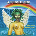 Sufjan Stevens - A Beginner's Mind (Vinyl LP)