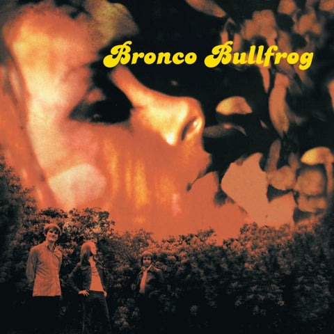 BRONCO BULLFROG - BRONCO BULLFROG (2LP) (Vinyl LP)