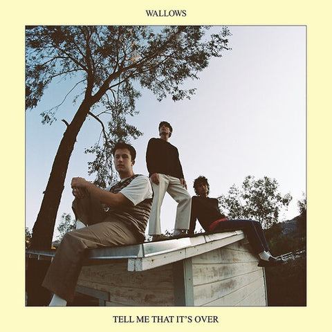 Wallows - Tell Me That It's Over (Vinyl LP)