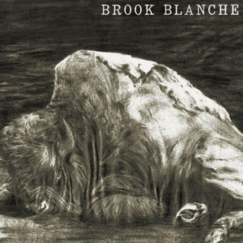 BLANCHE,BROOK - BROOK BLANCHE(Vinyl LP)